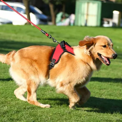 ZenPets Harnais respirant pour chien