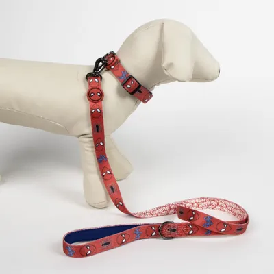 Spiderman LI Laisse pour chien en polyester