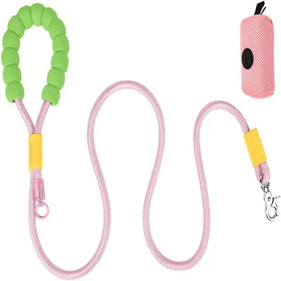 IntiMeg Laisse pour Chien