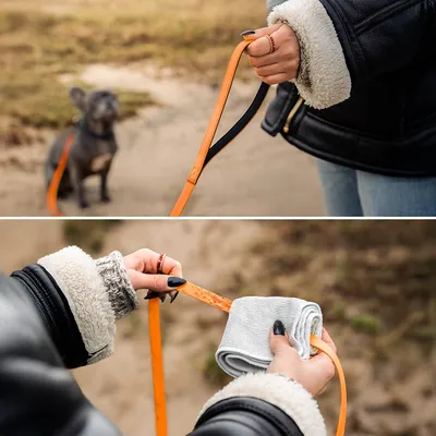 lionto laisse de traction longue pour chiens nylon avec revêtement PVC