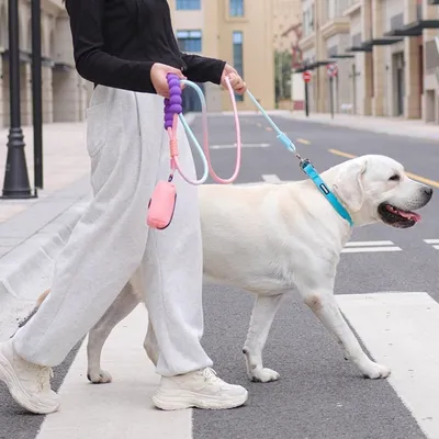 IntiMeg Laisse pour Chien