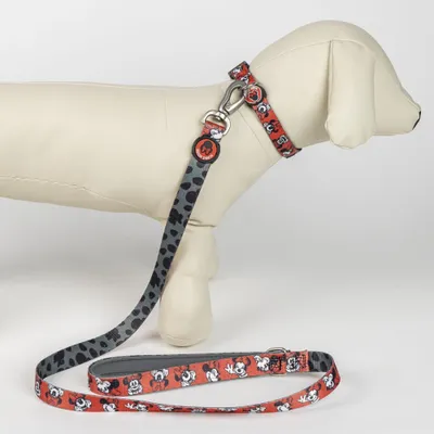 Minnie Laisse pour chien en polyester
