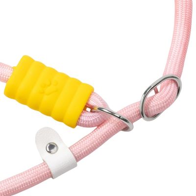 ZenPets Laisse pour chien Gradient