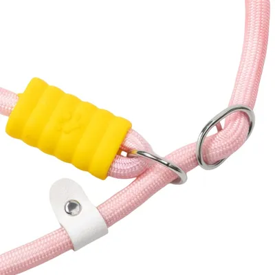 ZenPets Laisse pour chien Gradient