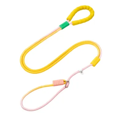 ZenPets Laisse pour chien Gradient