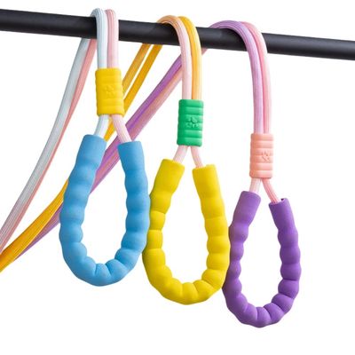 ZenPets Laisse pour chien Gradient