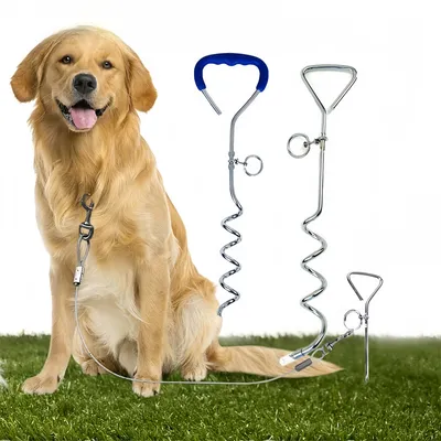 ZenPets Poteau de fixation pour laisse de chien en plein air ZenPets Poteau de fixation pour laisse de chien en plein air