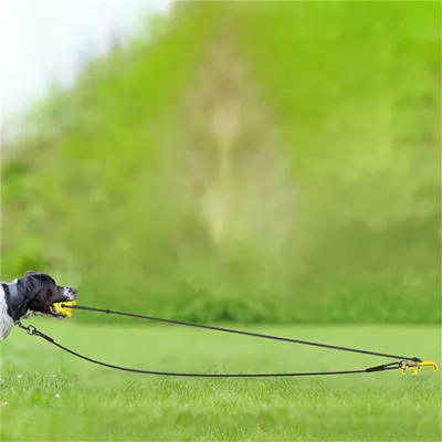 ZenPets Poteau pour chien de plein air et jouet multifonctionnel