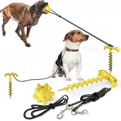 ZenPets Poteau pour chien de plein air et jouet multifonctionnel ZenPets Poteau pour chien de plein air et jouet multifonctionnel