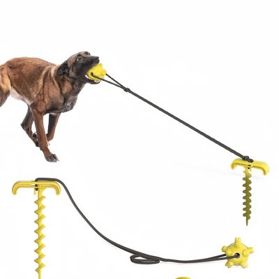 ZenPets Poteau pour chien de plein air et jouet multifonctionnel