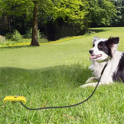 ZenPets Poteau pour chien de plein air et jouet multifonctionnel