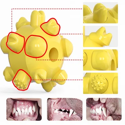 ZenPets Poteau pour chien de plein air et jouet multifonctionnel