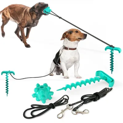 ZenPets Poteau pour chien de plein air et jouet multifonctionnel
