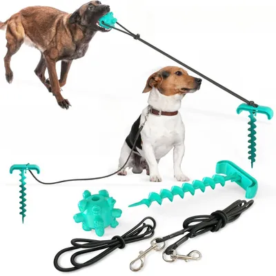 ZenPets Poteau pour chien de plein air et jouet multifonctionnel