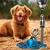 ZenPets Poteau d'attache pour chien de plein air