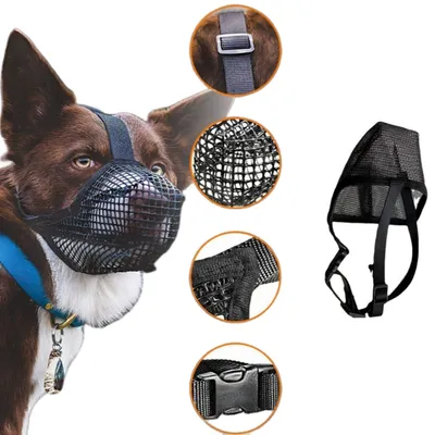 ZenPets Masque de bouche anti  aboiement pour chien