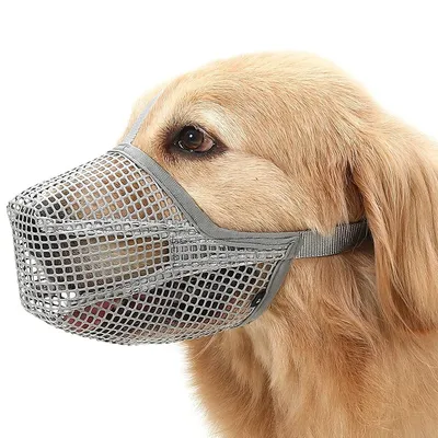 ZenPets Masque de bouche anti  aboiement pour chien