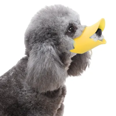 ZenPets Muselière pour chien à bec de canard