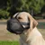 ZenPets Masque de bouche anti  aboiement pour chien