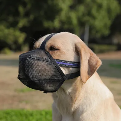 ZenPets Masque de bouche anti  aboiement pour chien