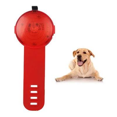 ZenPets Lampe anti - perte pour chiens de nuit