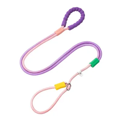 ZenPets Laisse pour chien Gradient