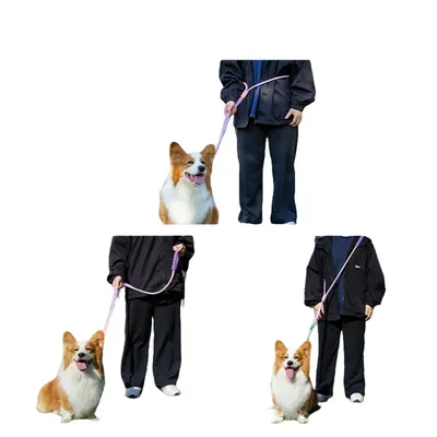 ZenPets Laisse pour chien Gradient