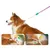 ZenPets Laisse pour chien Gradient