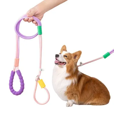 ZenPets Laisse pour chien Gradient