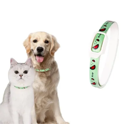 ZenPets Collier antiparasitaire pour chien et chat