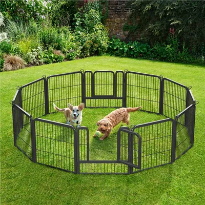 Parc Pour Chien En 12 Panneaux Enclos En Métal Avec Porte Verrouillable