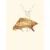 TRUFFE DÉLICE Bois de daim TRUFFE DÉLICE Bois de daim
