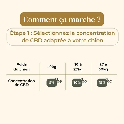 TRUFFE DÉLICE Huile CBD chien TRUFFE DÉLICE Huile CBD chien