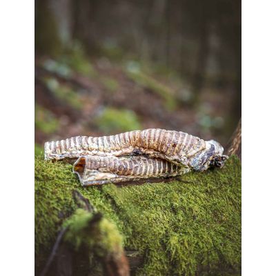 TRUFFE DÉLICE Trachées de bœuf