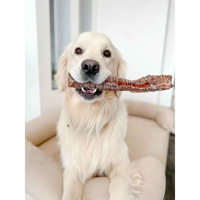 TRUFFE DÉLICE Trachées de bœuf