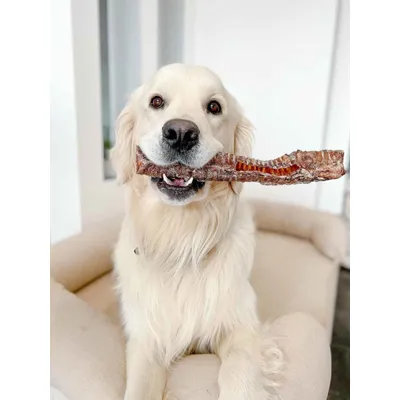 TRUFFE DÉLICE Trachées de bœuf TRUFFE DÉLICE Trachées de bœuf