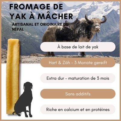 Supravit Fromage de yak à mâcher – Chien – Naturel & durable