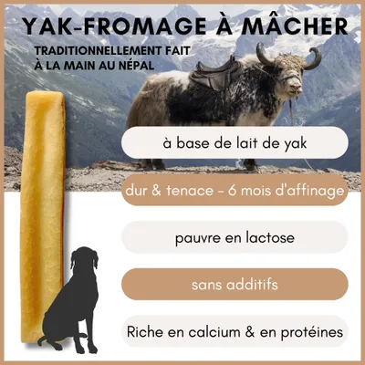 Supravit Fromage de yak à mâcher – Chien – Naturel & durable