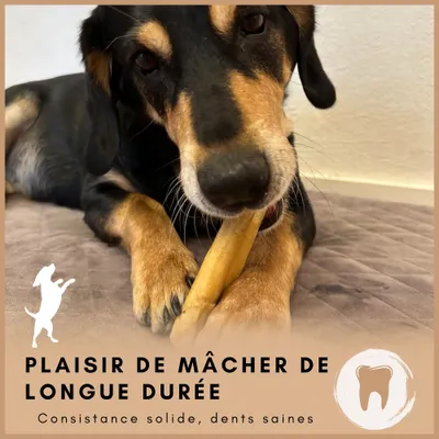 Supravit Fromage de yak à mâcher – Chien – Naturel & durable Supravit Fromage de yak à mâcher – Chien – Naturel & durable