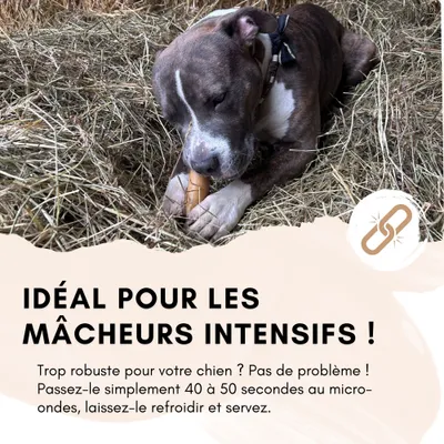 Supravit Fromage de yak à mâcher – Chien – Naturel & durable