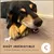 Supravit Fromage de yak à mâcher – Chien – Naturel & durable