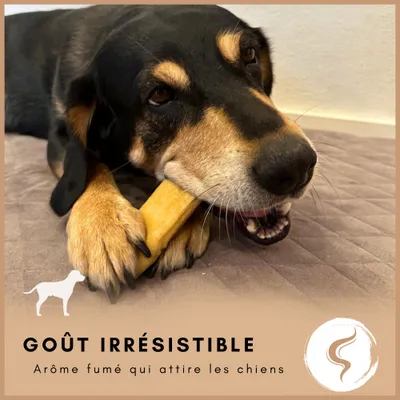 Supravit Fromage de yak à mâcher – Chien – Naturel & durable