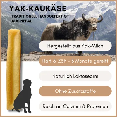 Supravit Yak Kaukäse für Hunde | Käseknochen | Für Große Rassen Supravit Yak Kaukäse für Hunde | Käseknochen | Für Große Rassen