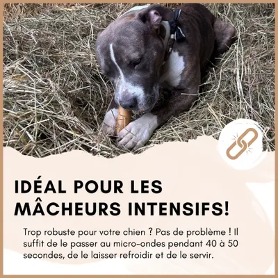 Supravit Fromage de yak à mâcher – Chien – Naturel & durable Supravit Fromage de yak à mâcher – Chien – Naturel & durable
