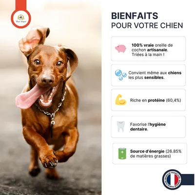 France Croquettes - Oreilles de Porc XXL