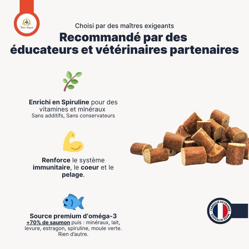 Bouchées au saumon - France Croquettes