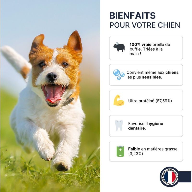 Oreille de Buffle - France Croquettes