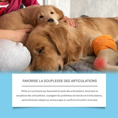 IntiMeg Gouttes de soin pour animaux de compagnie IntiMeg Gouttes de soin pour animaux de compagnie