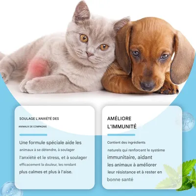 IntiMeg Gouttes de soin pour animaux de compagnie IntiMeg Gouttes de soin pour animaux de compagnie