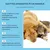 IntiMeg Gouttes de soin pour animaux de compagnie IntiMeg Gouttes de soin pour animaux de compagnie